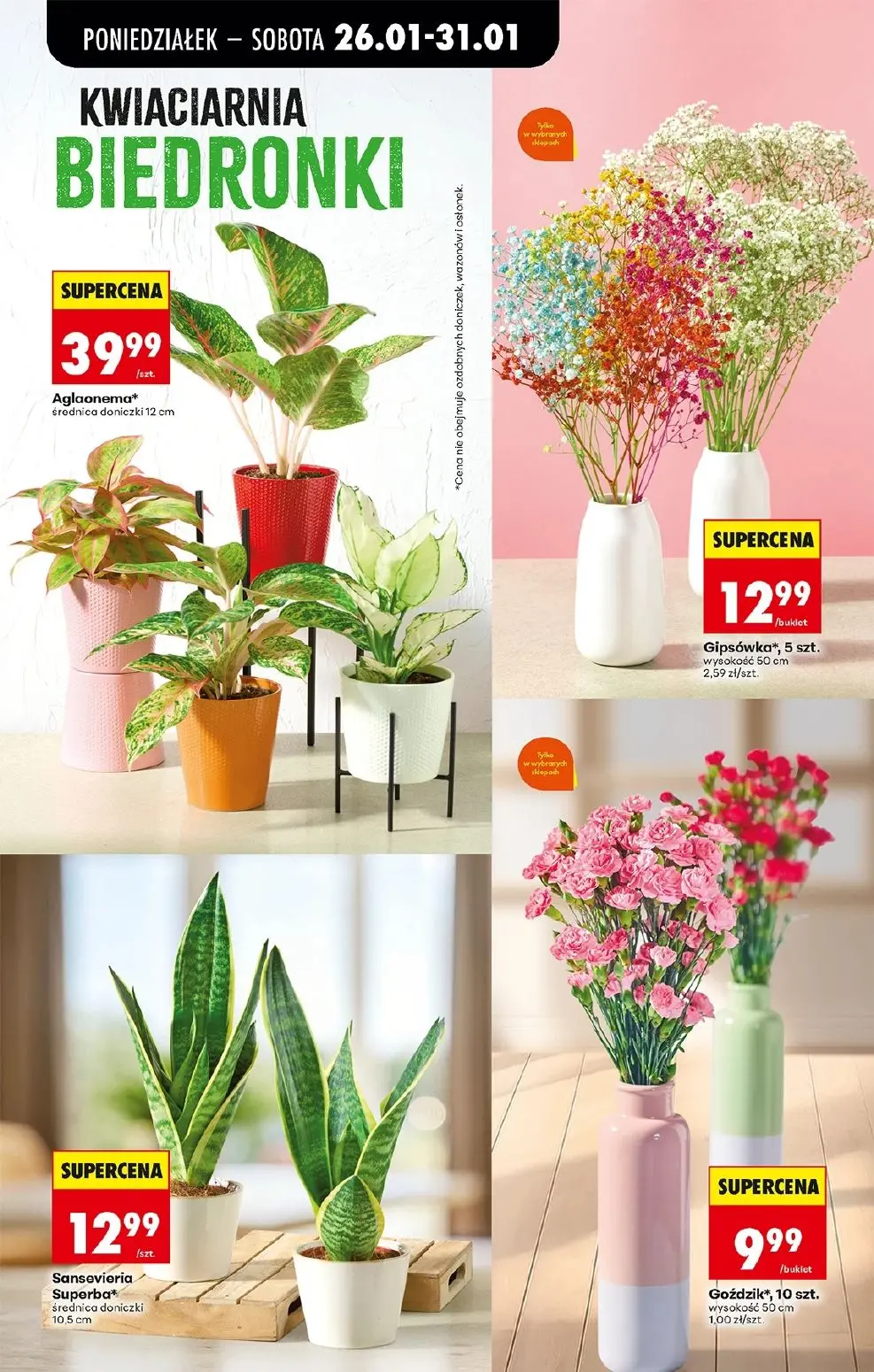 gazetka promocyjna Biedronka Od poniedziałku - Strona 25