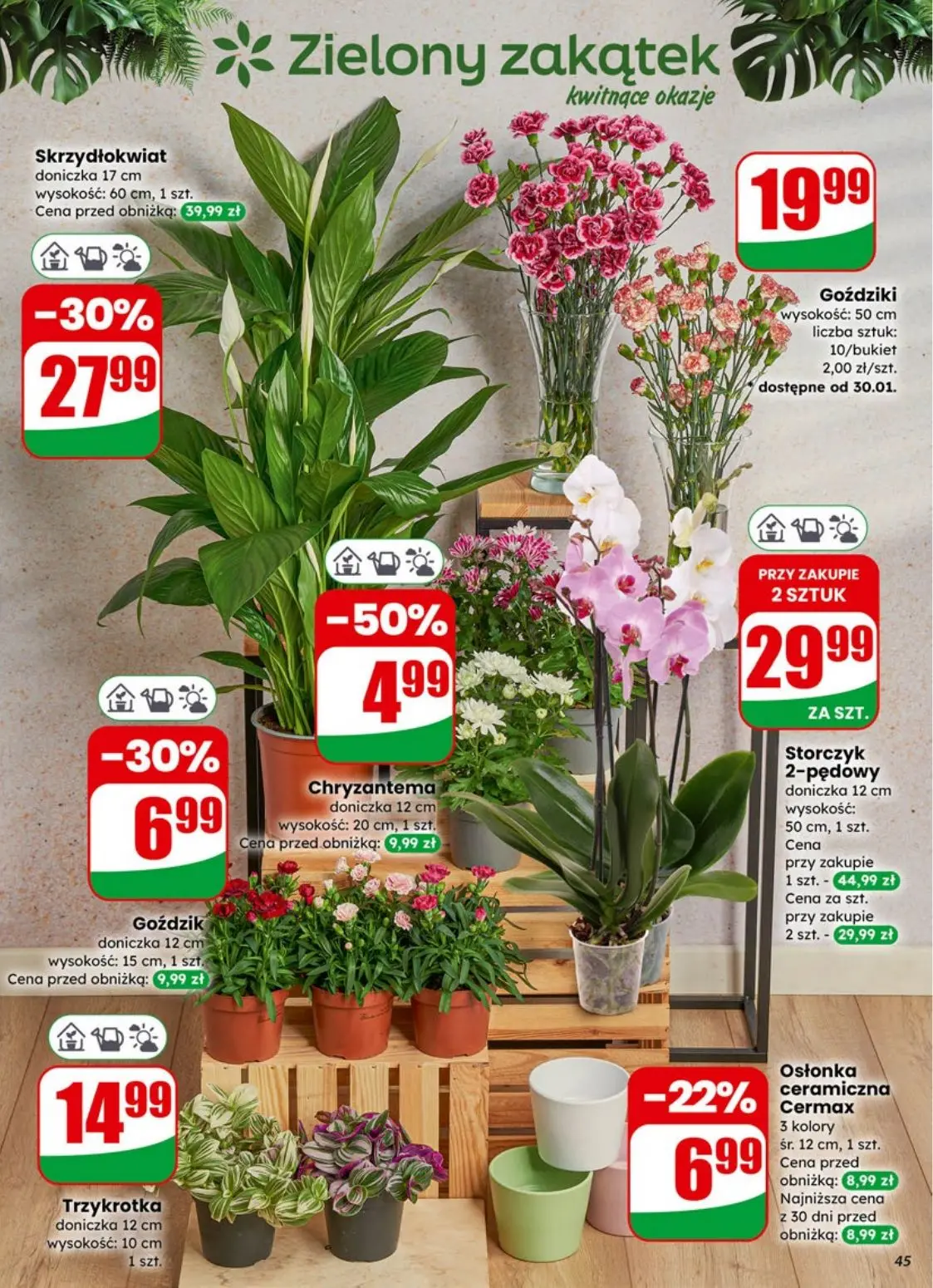 gazetka promocyjna dino Promocje bliżej Ciebie - Strona 45