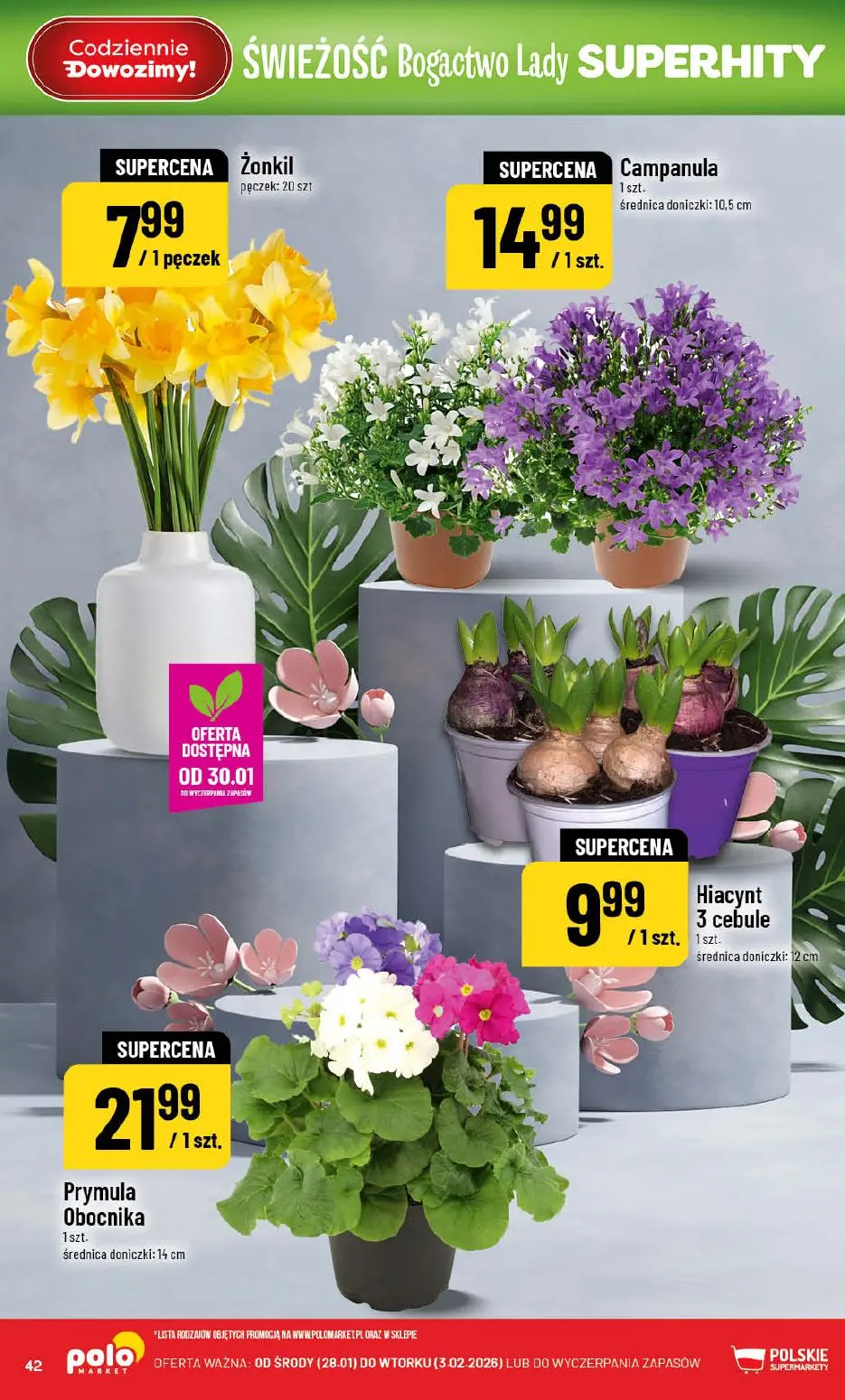 gazetka promocyjna POLOmarket Świeżość Bogactwo Lady Superhity - Strona 42