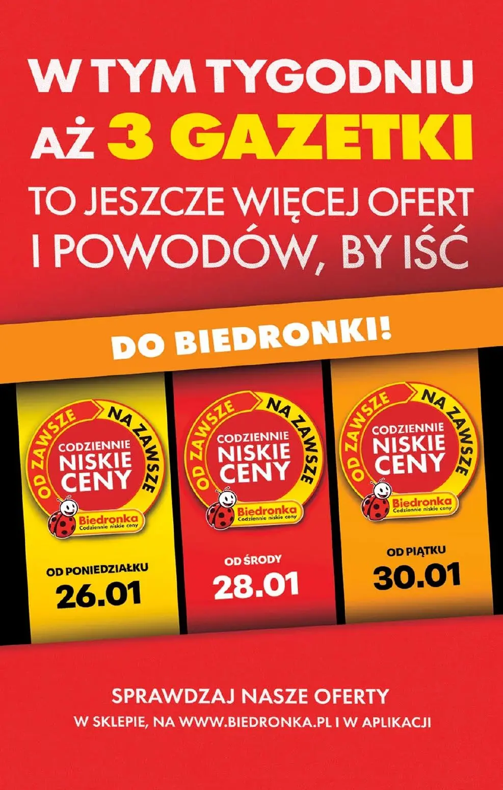 gazetka promocyjna Biedronka Lada tradycyjna. Od środy  - Strona 2