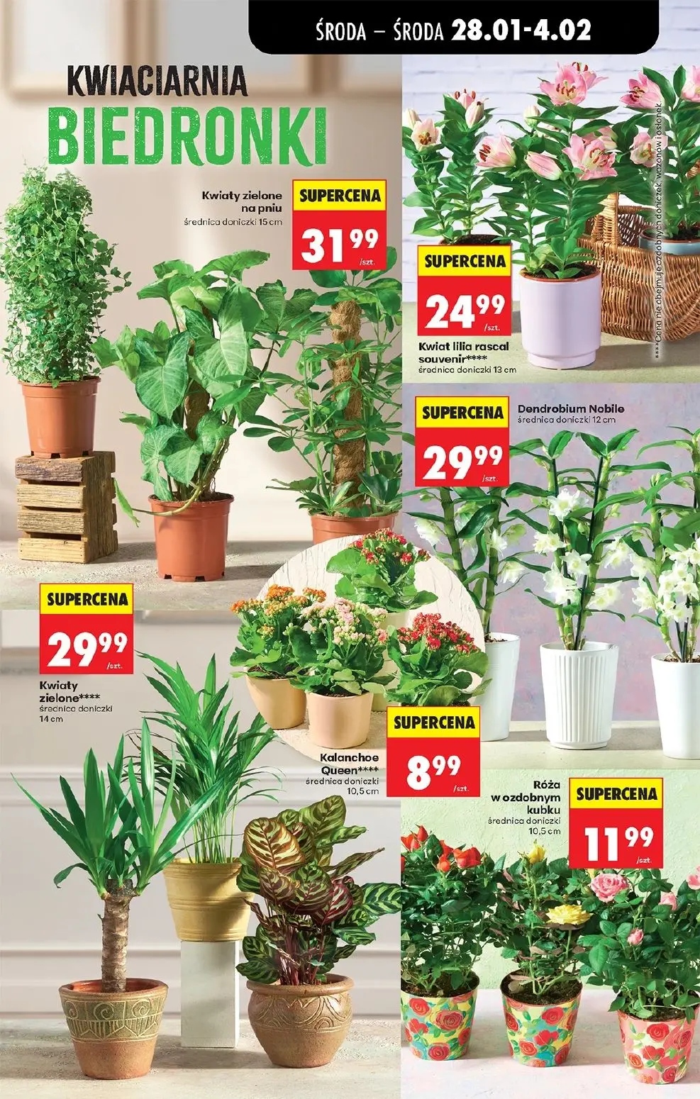 gazetka promocyjna Biedronka Lada tradycyjna. Od środy  - Strona 78