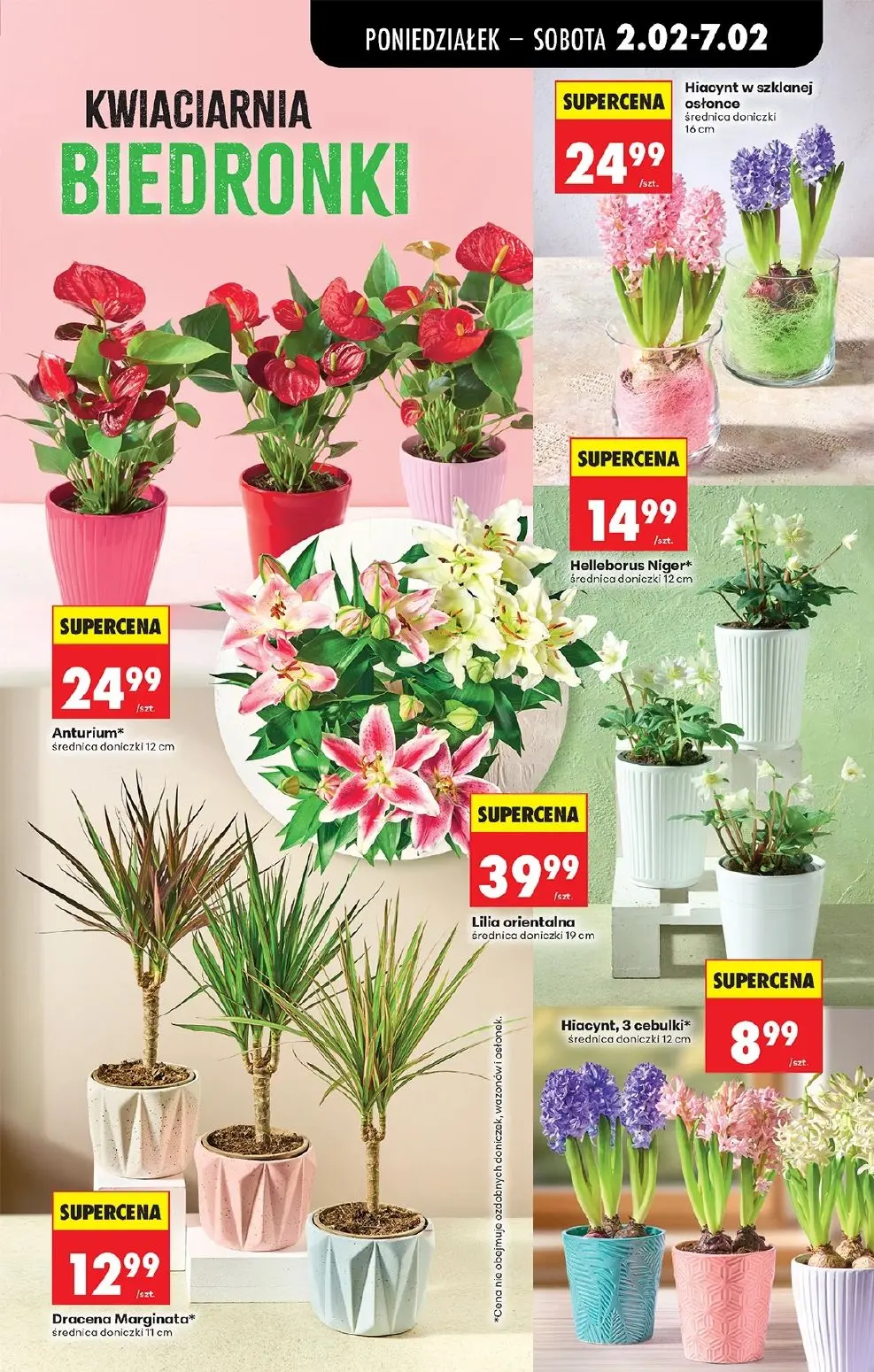 gazetka promocyjna Biedronka Od poniedziałku - Strona 31