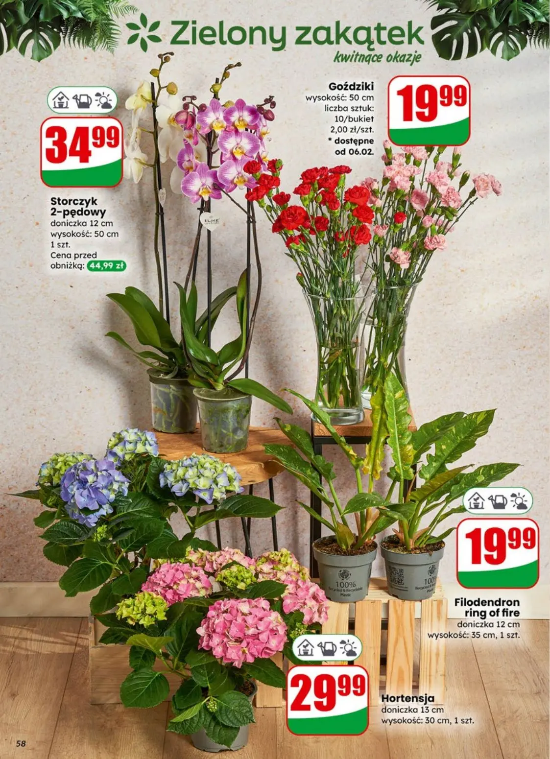 gazetka promocyjna dino Promocje blisko Ciebie - Strona 58