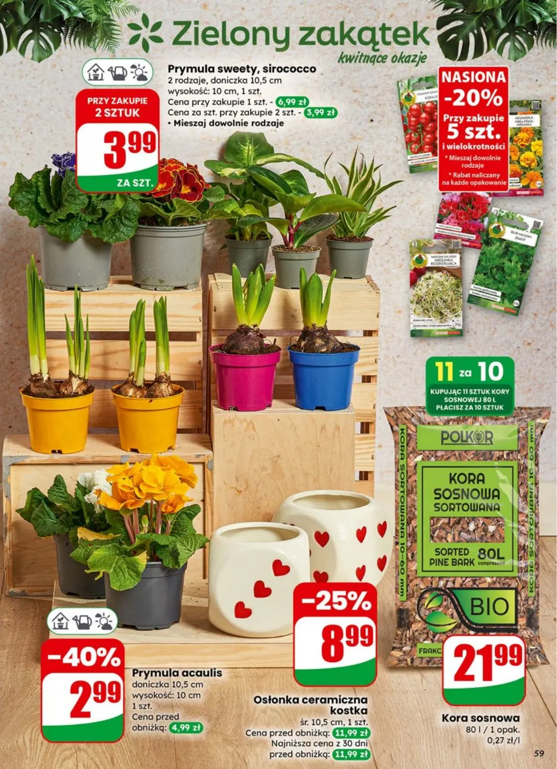 gazetka promocyjna dino Promocje blisko Ciebie - Strona 59