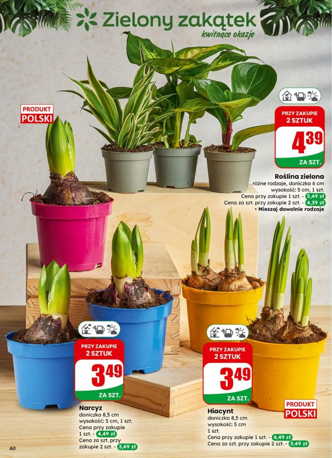 gazetka promocyjna dino Promocje blisko Ciebie - Strona 60