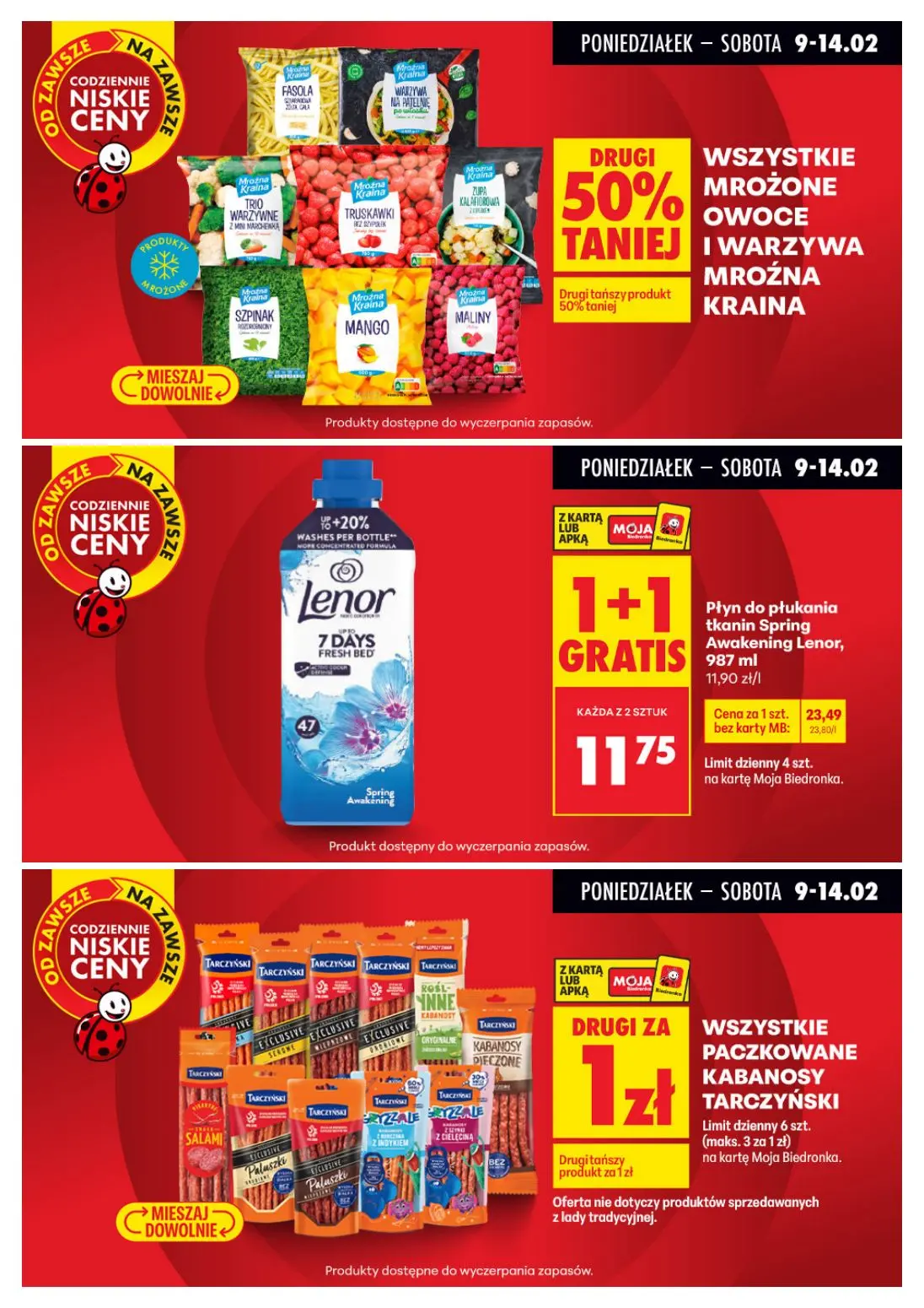 gazetka promocyjna Biedronka Biedronkowe oszczędności - Strona 9