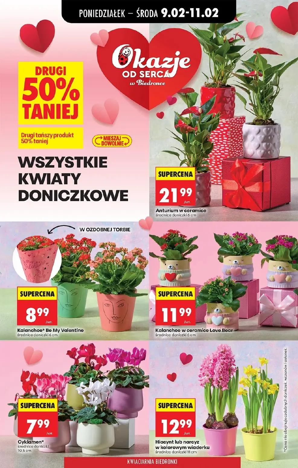 gazetka promocyjna Biedronka Od poniedziałku  - Strona 13