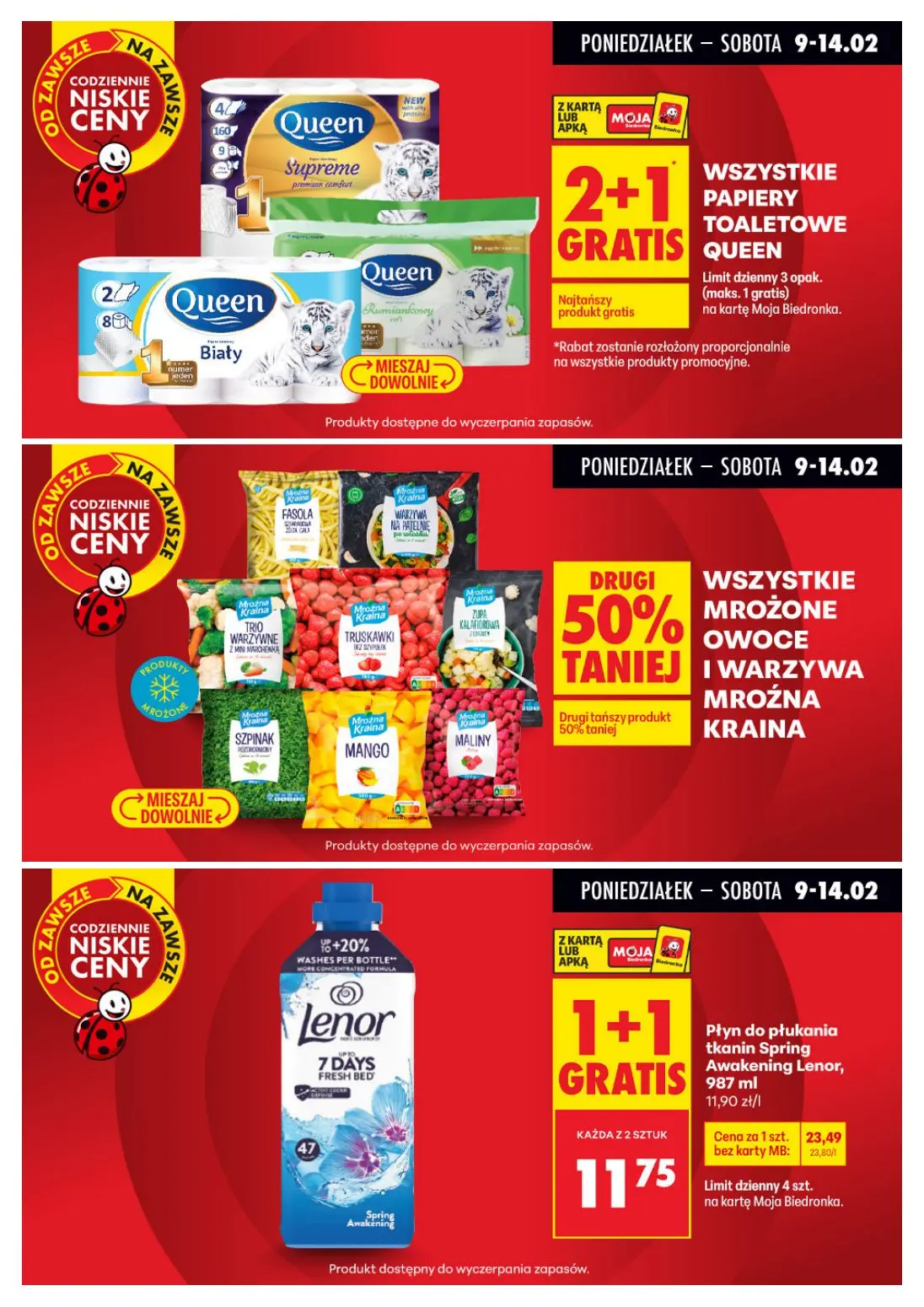 gazetka promocyjna Biedronka Biedronkowe oszczędności - Strona 10