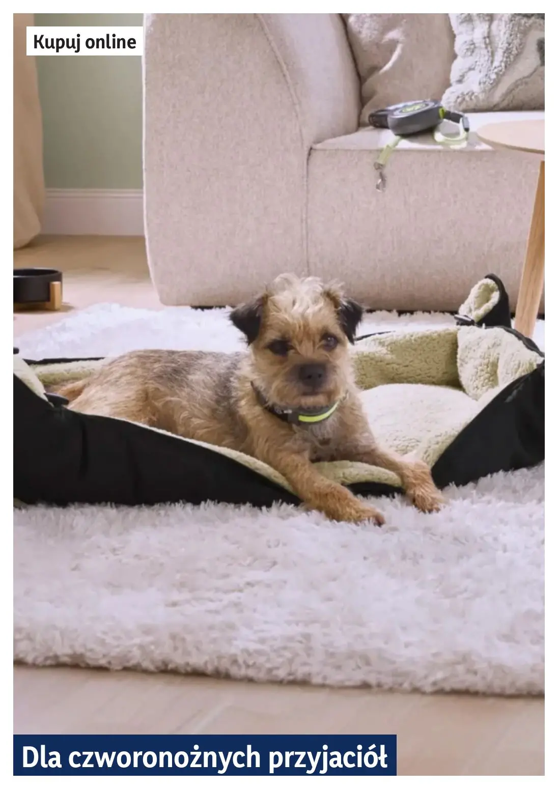 gazetka promocyjna LIDL Lidl plus. Skanujesz - To się opłaca - Strona 17