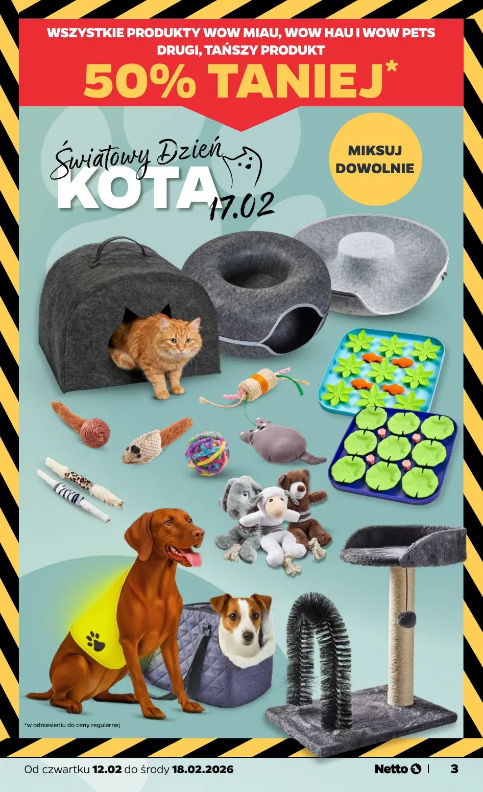 gazetka promocyjna NETTO Temat tygodnia: Dzień KOTA 🐱 - Strona 3