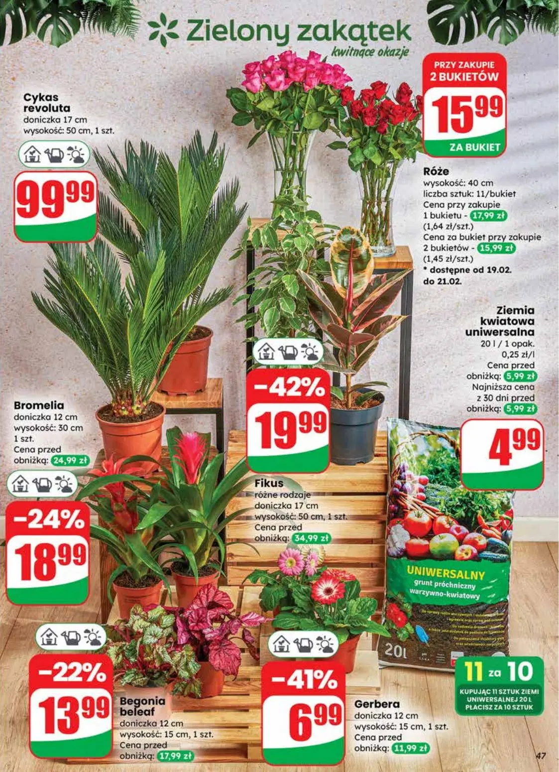 gazetka promocyjna dino Promocje najbliżej Ciebie - Strona 47