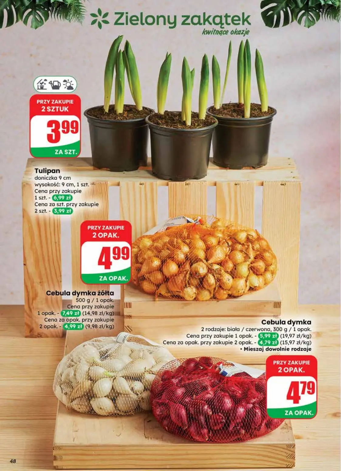 gazetka promocyjna dino Promocje najbliżej Ciebie - Strona 48