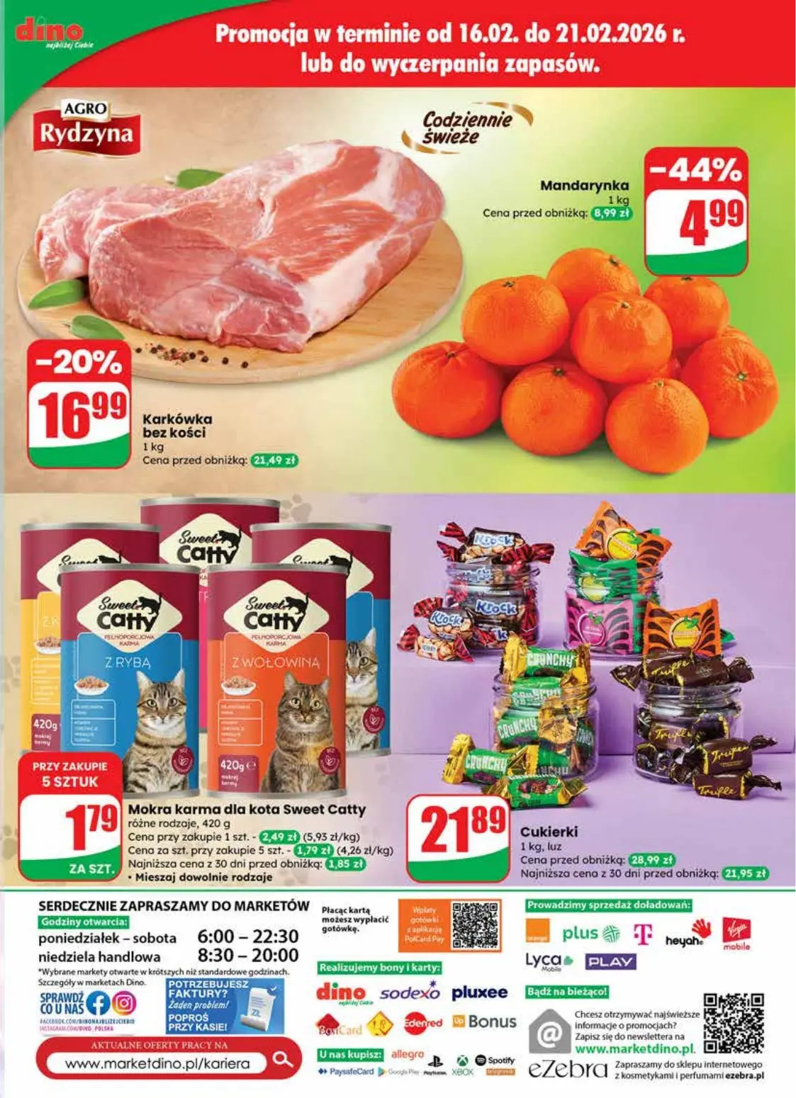 gazetka promocyjna dino Promocje najbliżej Ciebie - Strona 63