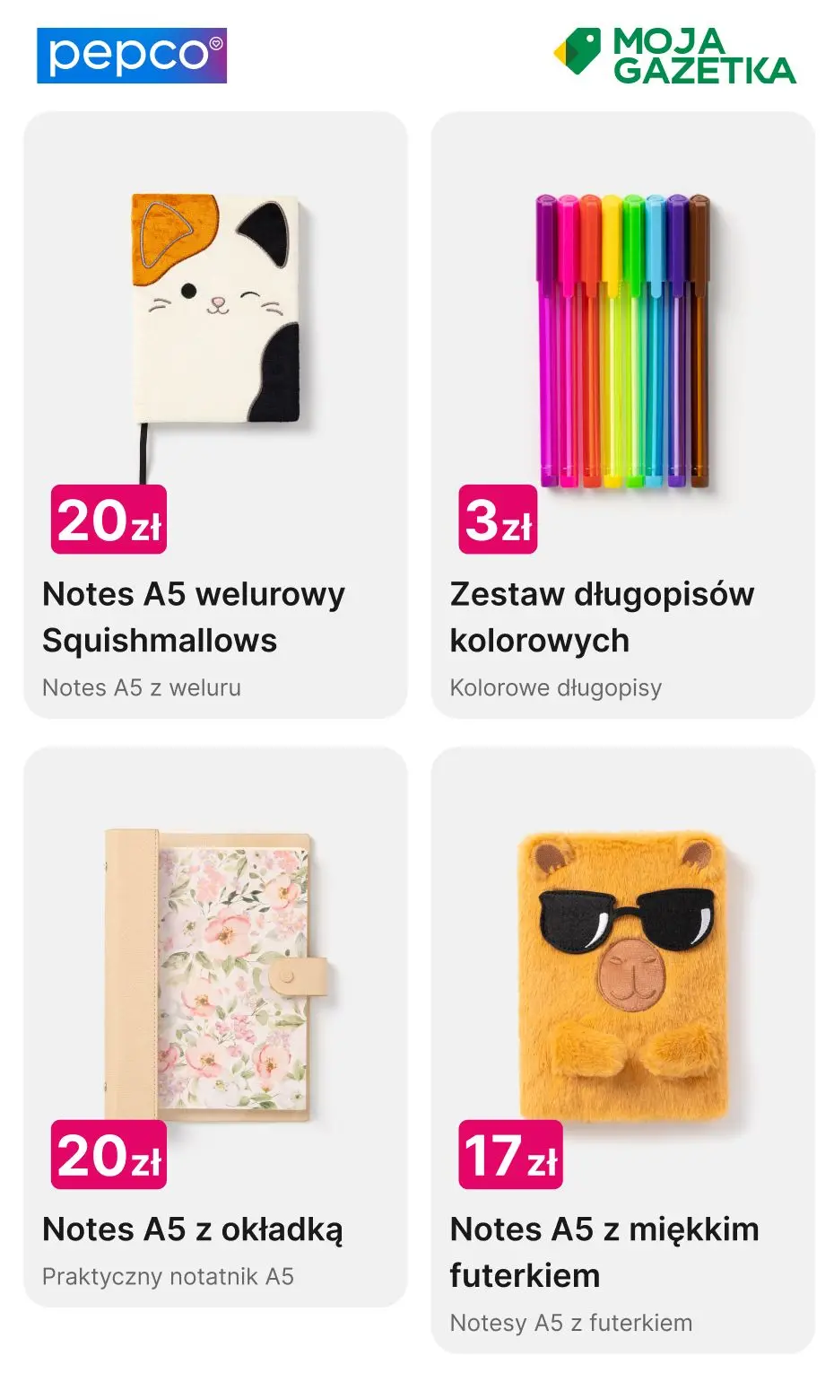 gazetka promocyjna PEPCO Pomysły na ferie - Strona 23