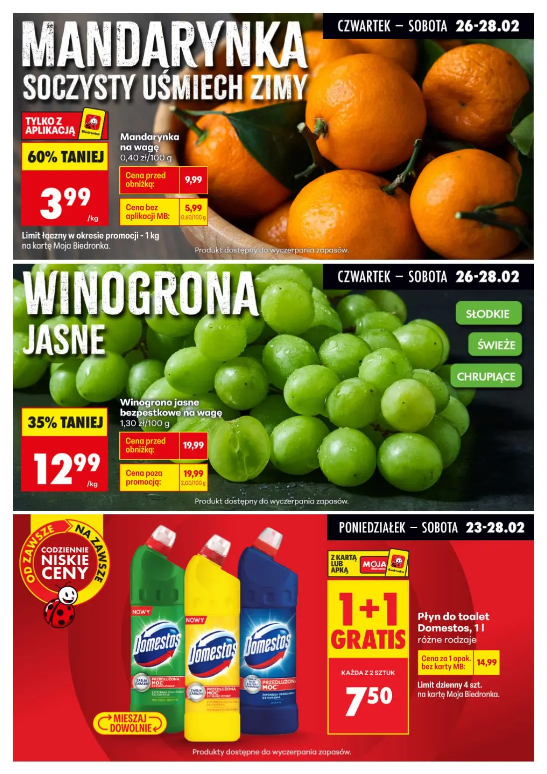 gazetka promocyjna Biedronka Biedronkowe oszczędności - Strona 13