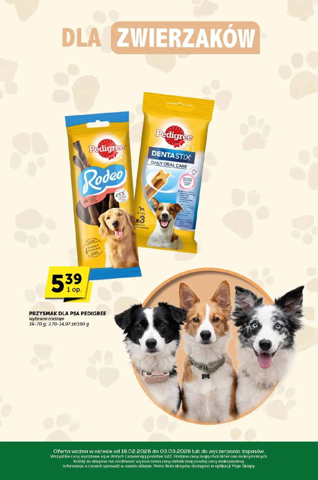 gazetka promocyjna groszek Katalog - Strona 29