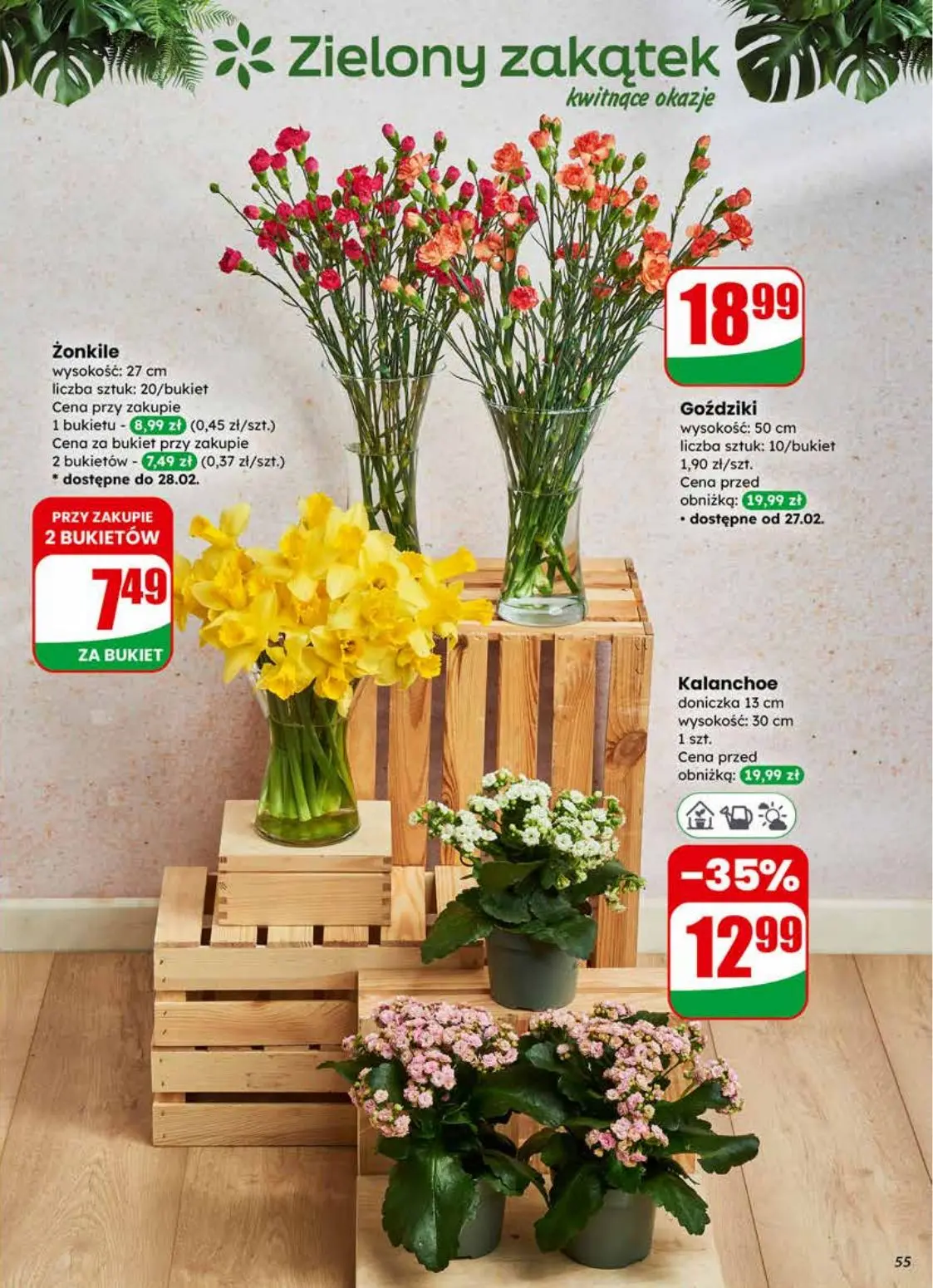 gazetka promocyjna dino Okazje blisko Ciebie - Strona 55