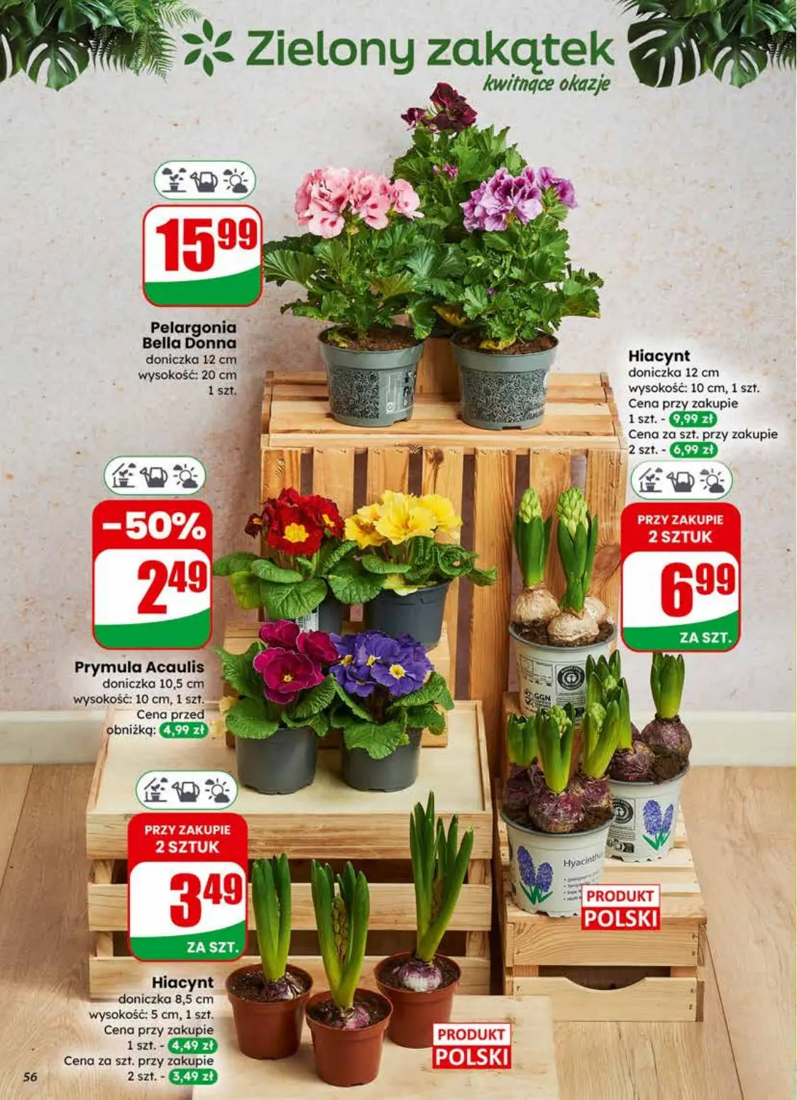 gazetka promocyjna dino Okazje blisko Ciebie - Strona 56