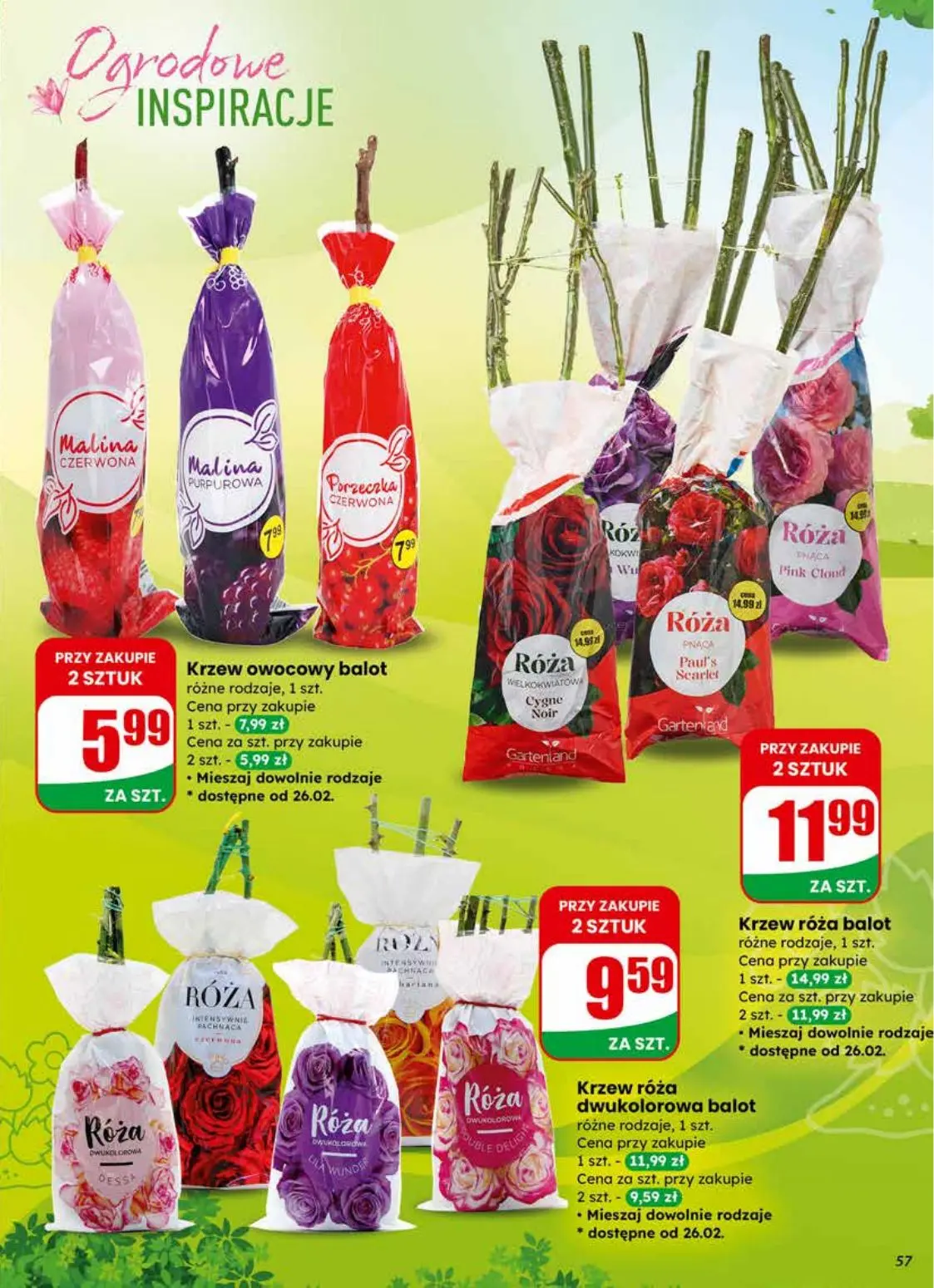 gazetka promocyjna dino Okazje blisko Ciebie - Strona 57