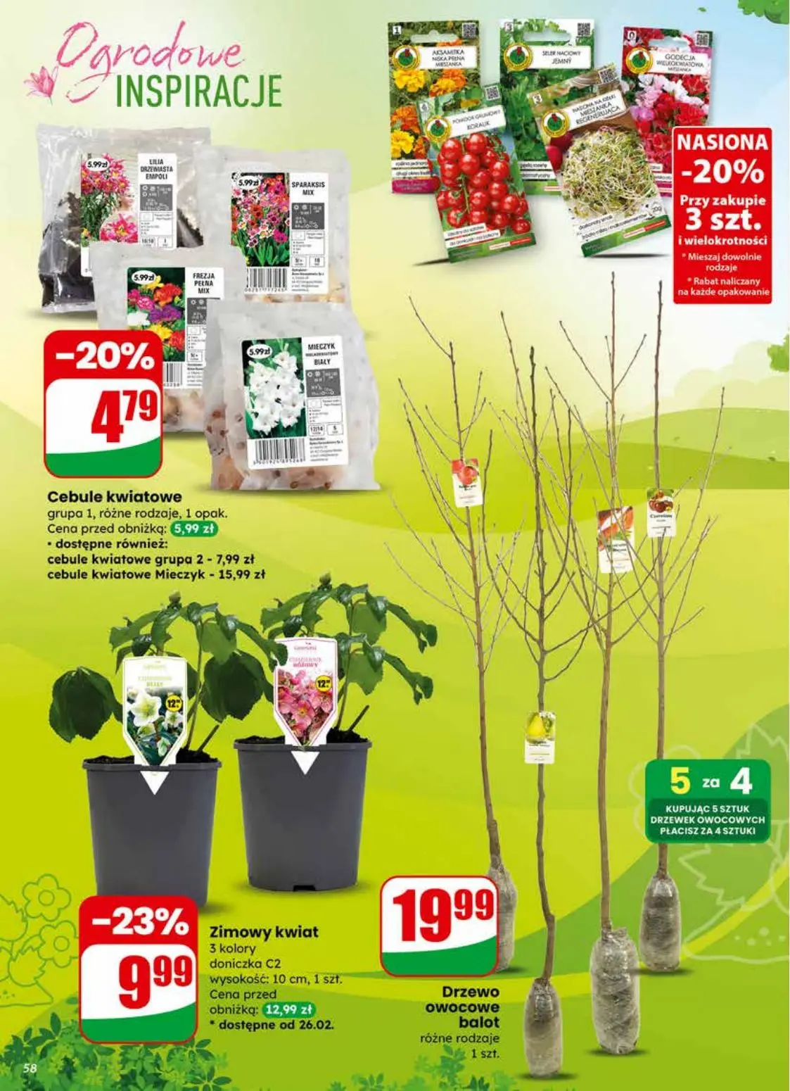 gazetka promocyjna dino Okazje blisko Ciebie - Strona 58