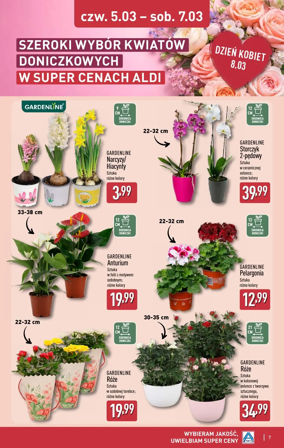 gazetka promocyjna ALDI Dzień Kobiet w super cenach - Strona 7