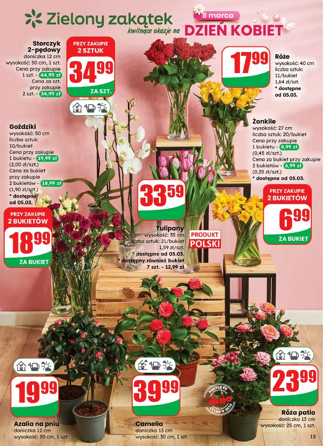 gazetka promocyjna dino Okazje na Dzień Kobiet - Strona 13