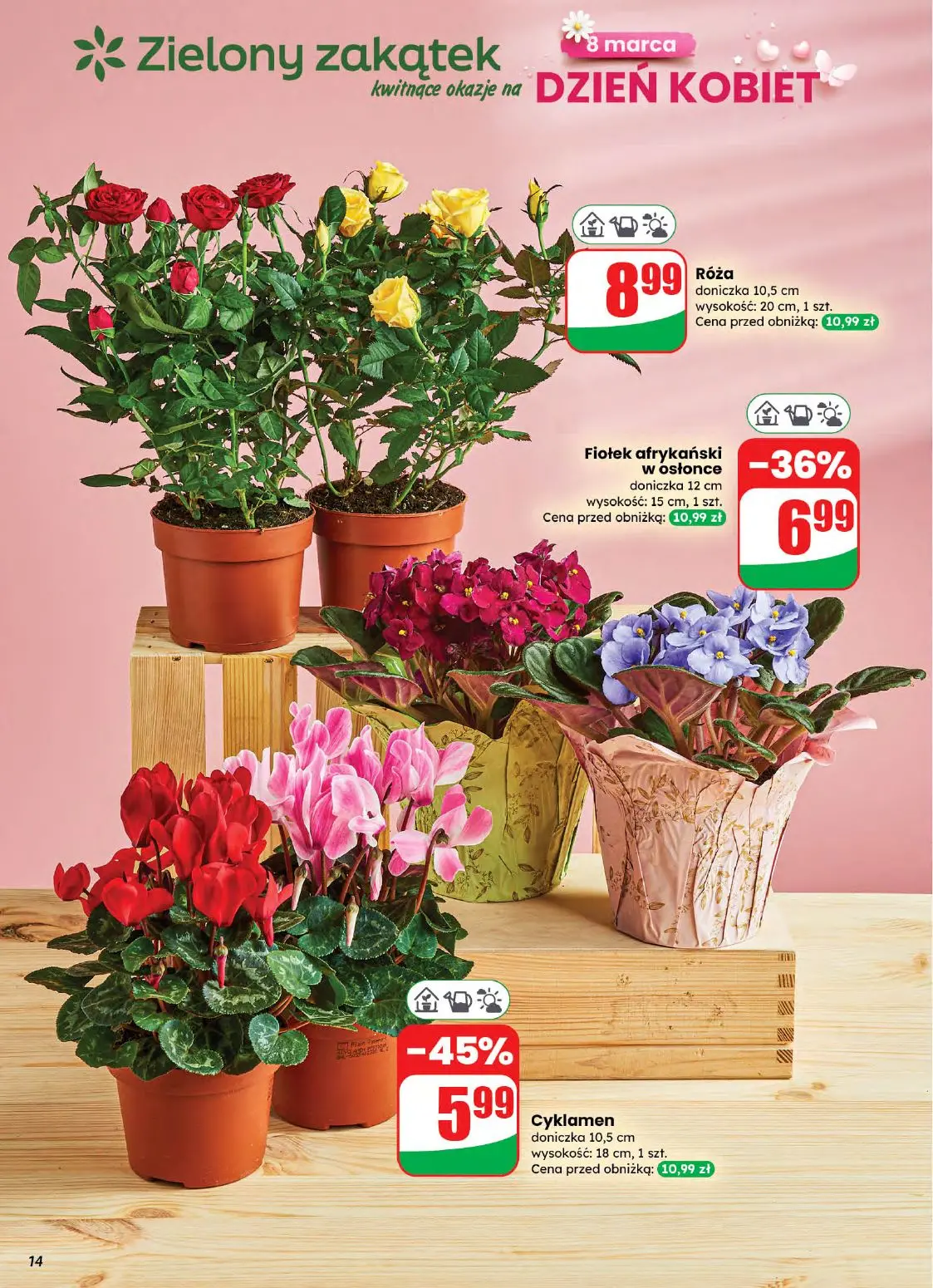 gazetka promocyjna dino Okazje na Dzień Kobiet - Strona 14