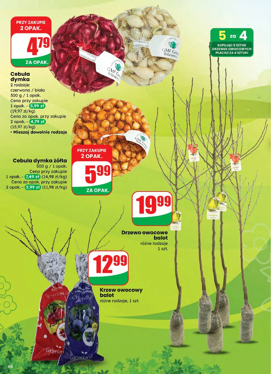 gazetka promocyjna dino Okazje na Dzień Kobiet - Strona 68