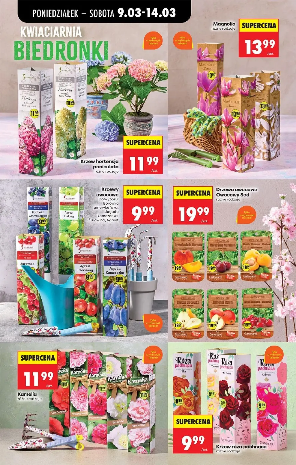 gazetka promocyjna Biedronka Od poniedziałku - Strona 76