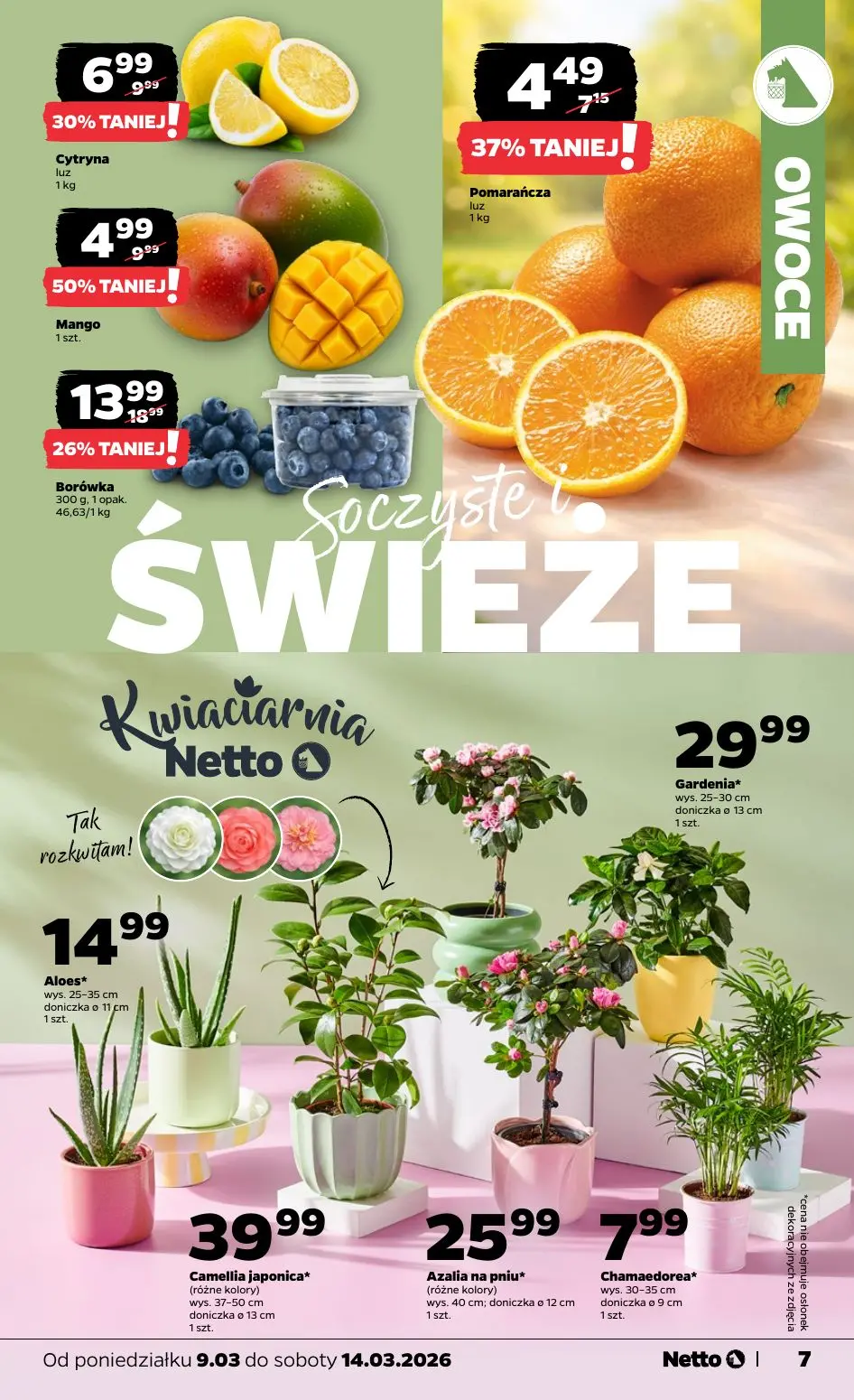 gazetka promocyjna NETTO Tanio i świeżo - Strona 7