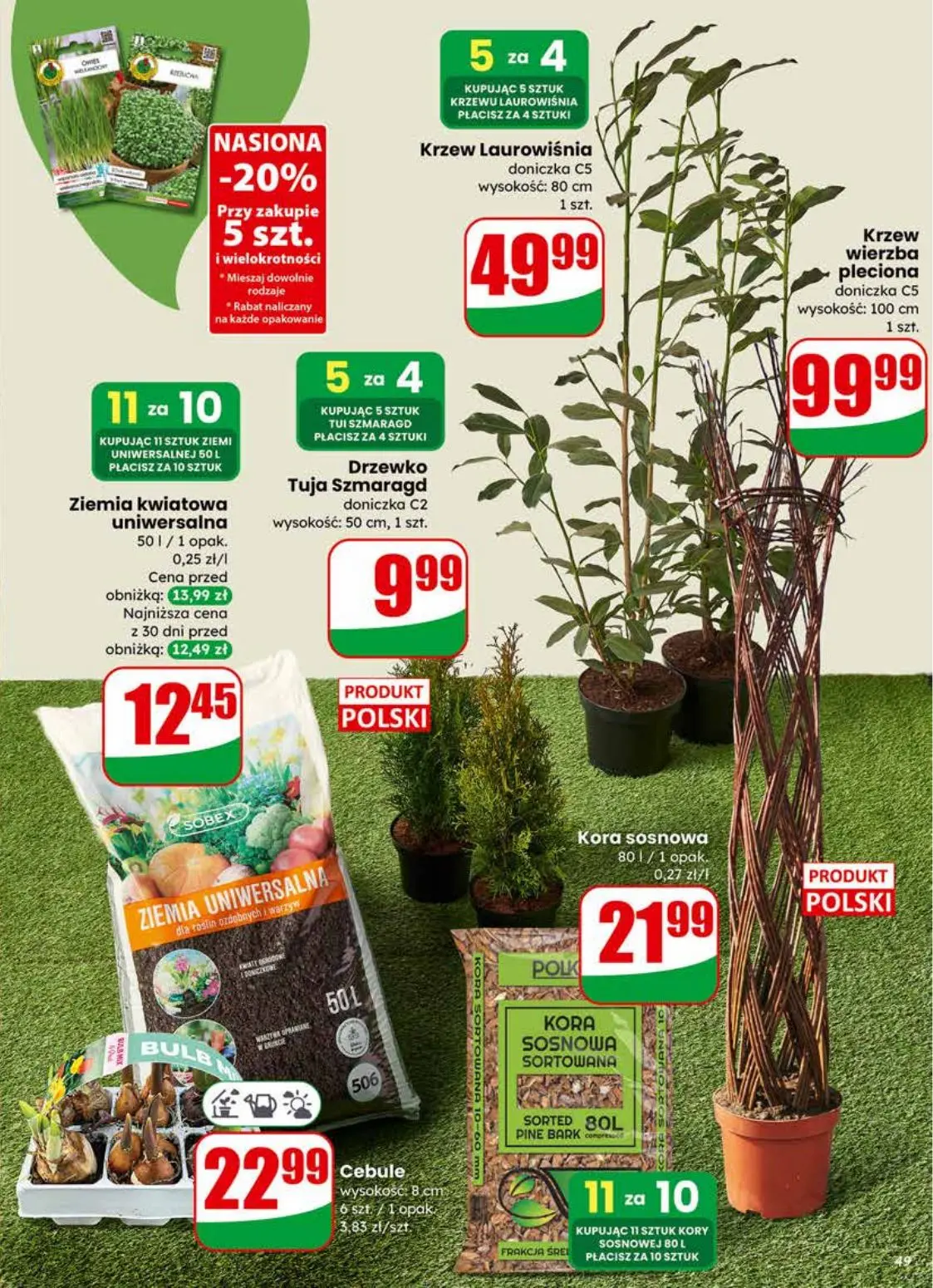 gazetka promocyjna dino Najbliżej Ciebie - Strona 49