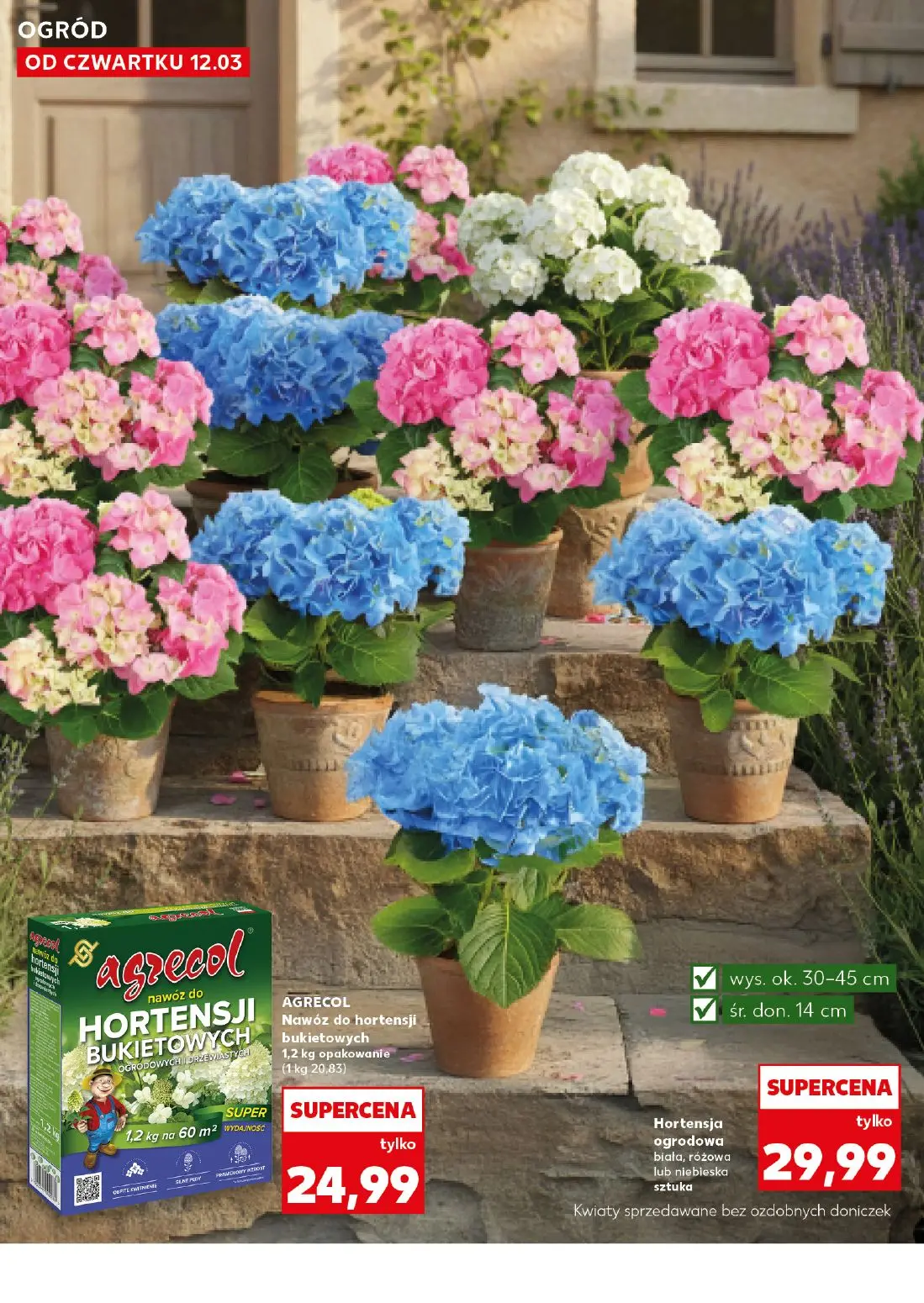 gazetka promocyjna Kaufland Ogród - Wiosenne inspiracje - Strona 12