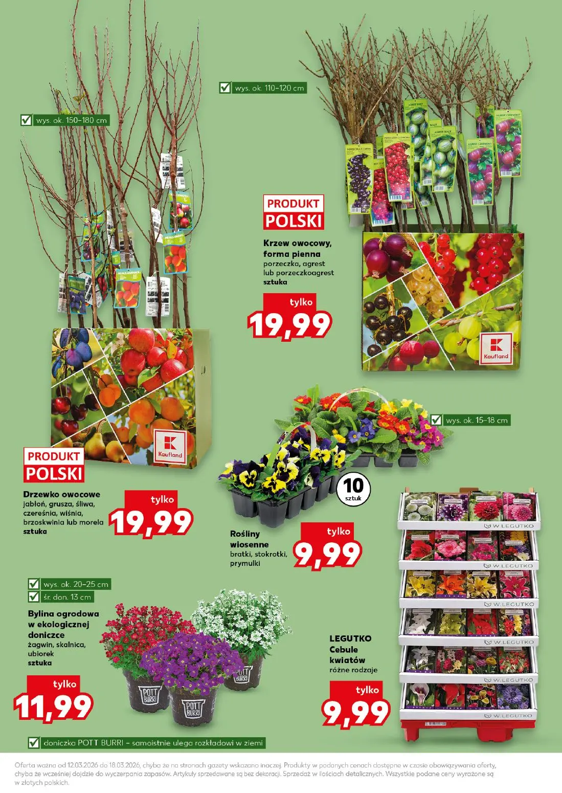 gazetka promocyjna Kaufland Ogród - Wiosenne inspiracje - Strona 13