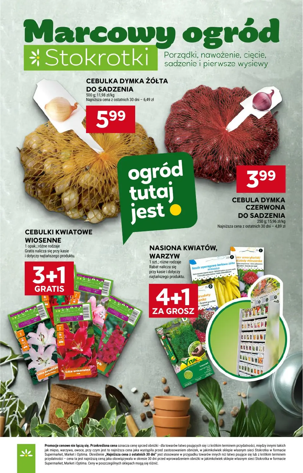 gazetka promocyjna Stokrotka Market Od czwartku - Strona 19