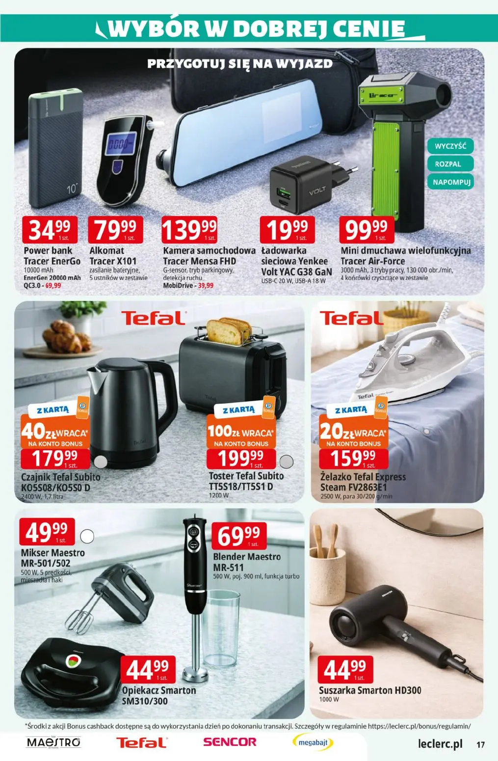 gazetka promocyjna E.Leclerc Katalog Ogród - Strona 17