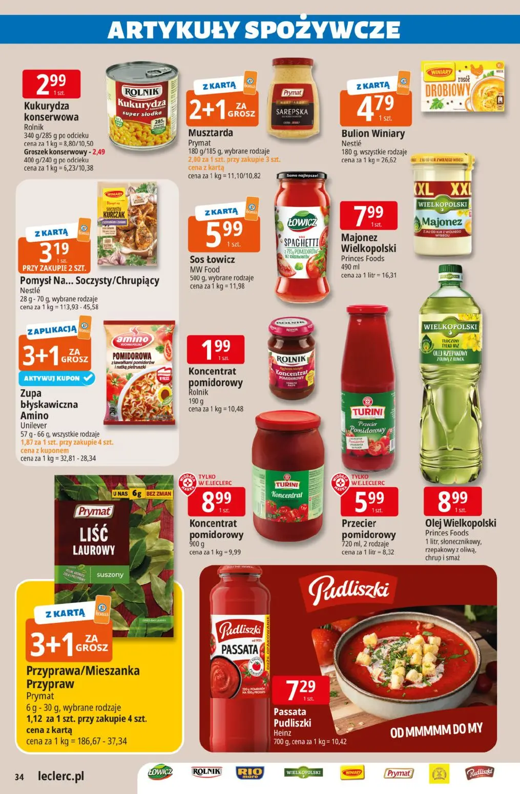 gazetka promocyjna E.Leclerc Katalog Ogród - Strona 34