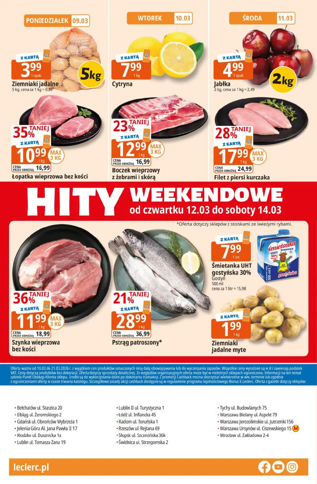 gazetka promocyjna E.Leclerc Katalog Ogród - Strona 40