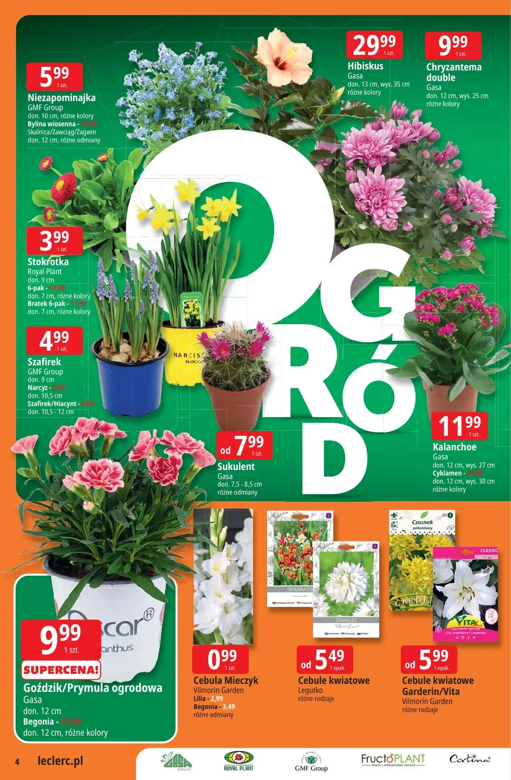 gazetka promocyjna E.Leclerc Katalog Ogród - oferta rozszerzona - Strona 4