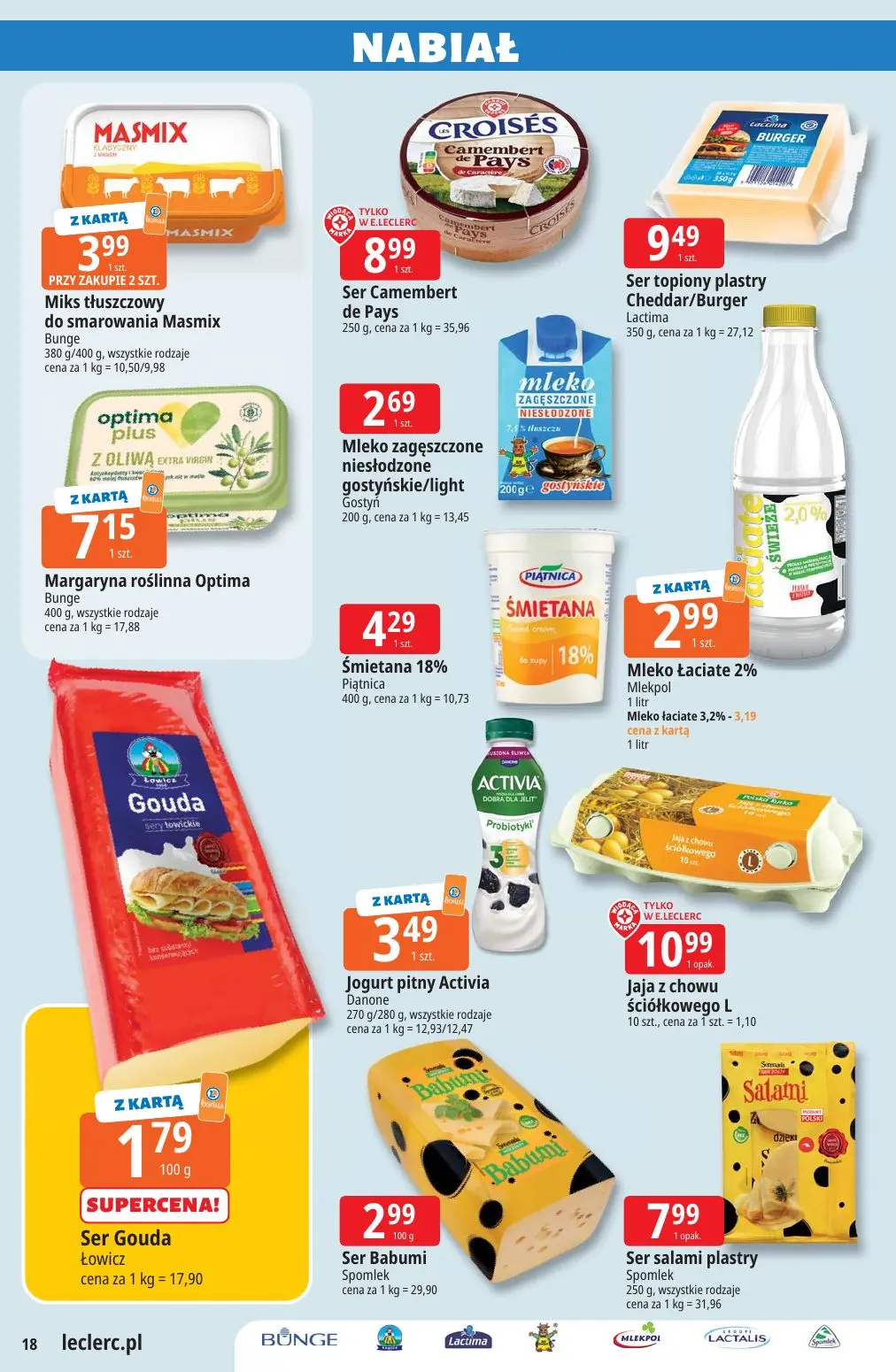 gazetka promocyjna E.Leclerc Katalog Ogród - Strona 18