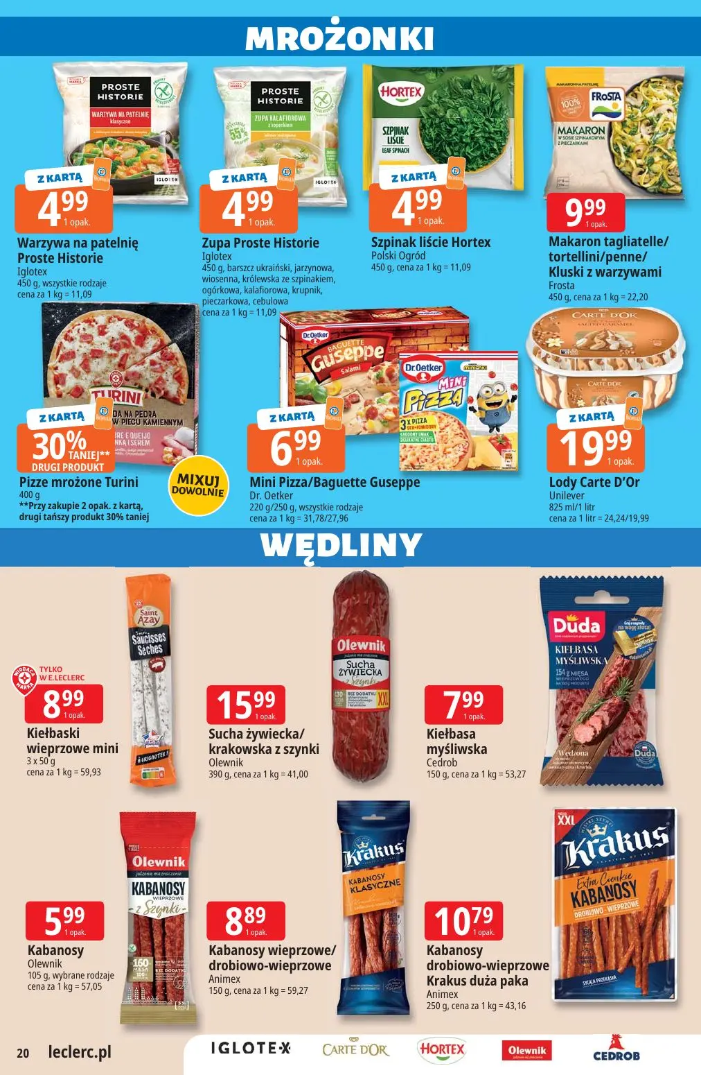 gazetka promocyjna E.Leclerc Katalog Ogród - Strona 20