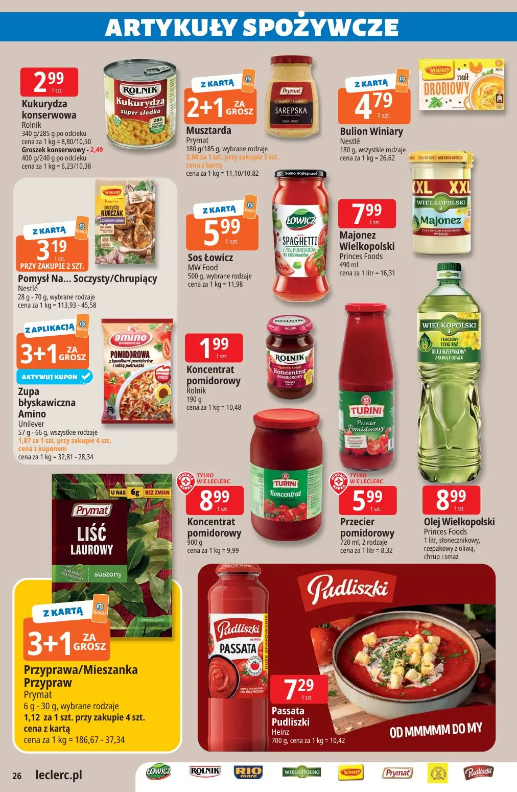 gazetka promocyjna E.Leclerc Katalog Ogród - Strona 26