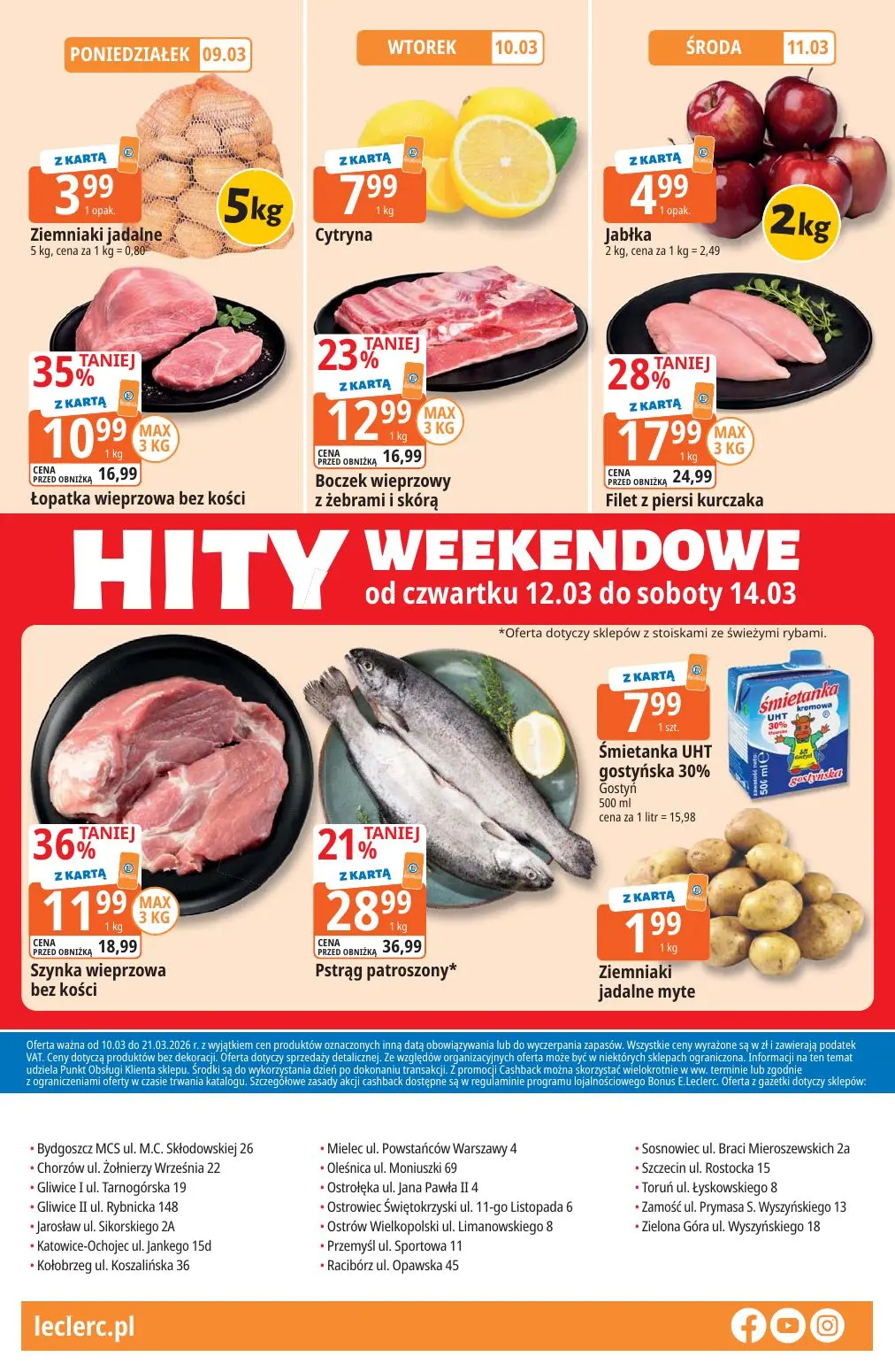 gazetka promocyjna E.Leclerc Katalog Ogród - Strona 32