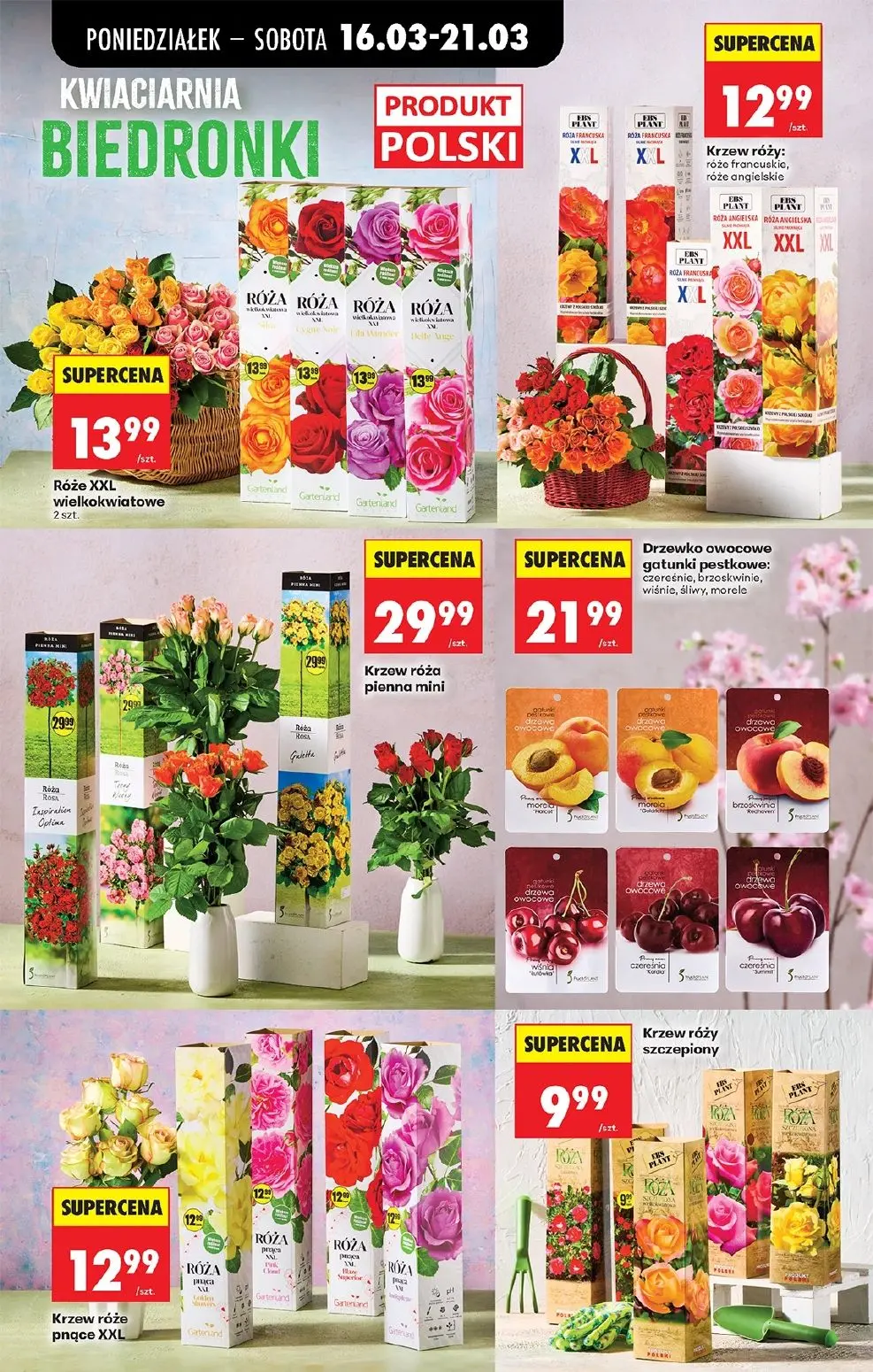 gazetka promocyjna Biedronka Od poniedziałku  - Strona 79