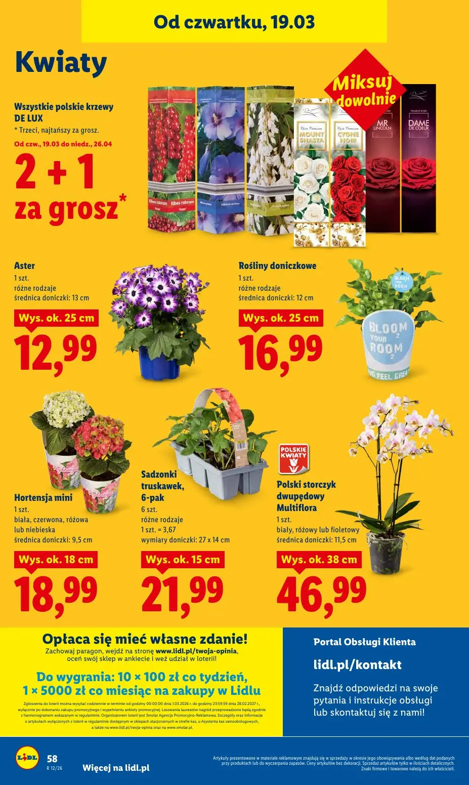 gazetka promocyjna LIDL Od czwartku - Strona 58