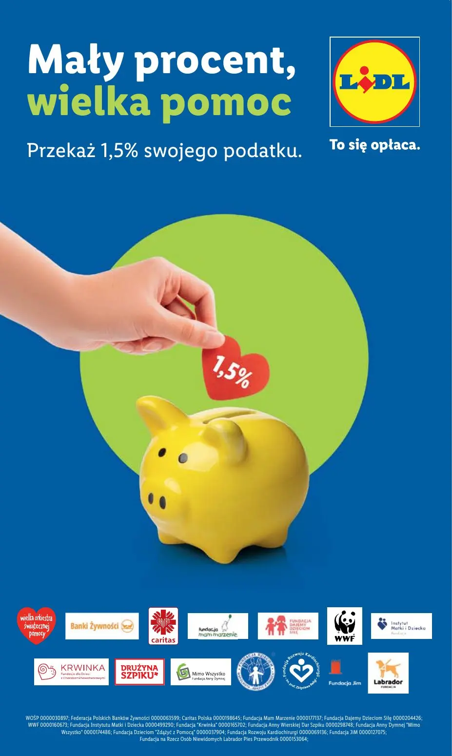 gazetka promocyjna LIDL Od czwartku - Strona 61