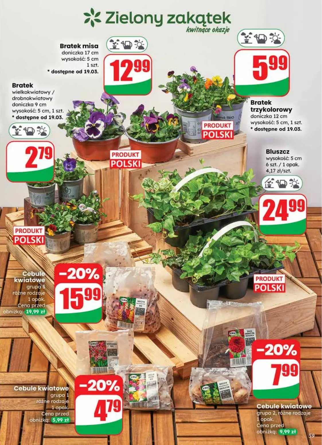 gazetka promocyjna dino Najbliżej Ciebie - Strona 59