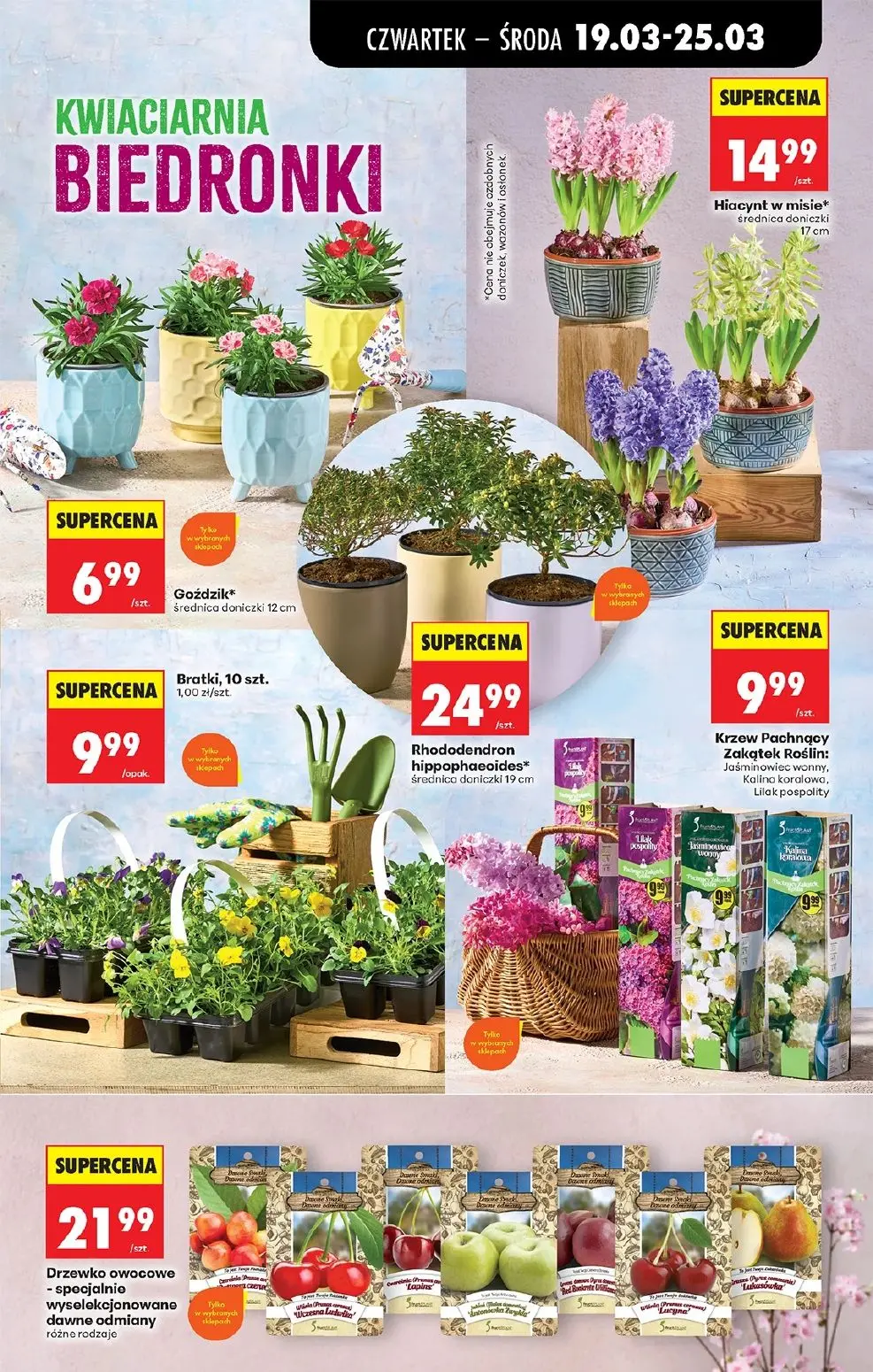 gazetka promocyjna Biedronka Od czwartku. Lada tradycyjna - Strona 77