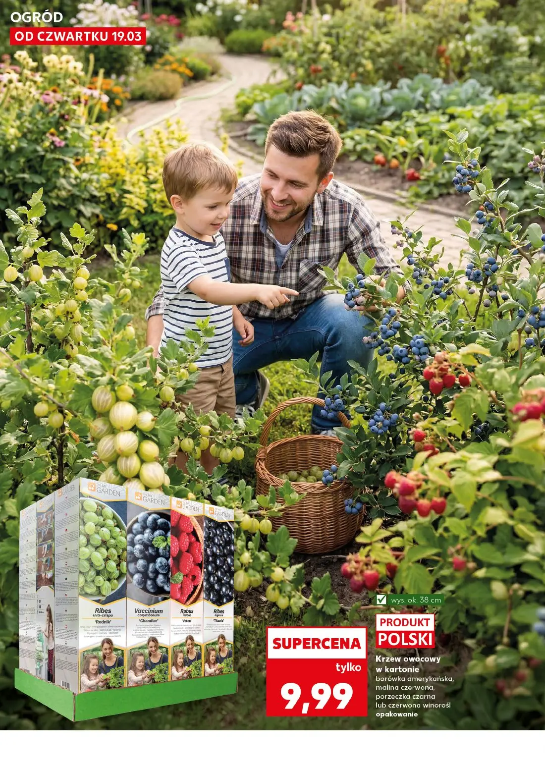 gazetka promocyjna Kaufland Ogród Wiosenne inspiracje - Strona 10
