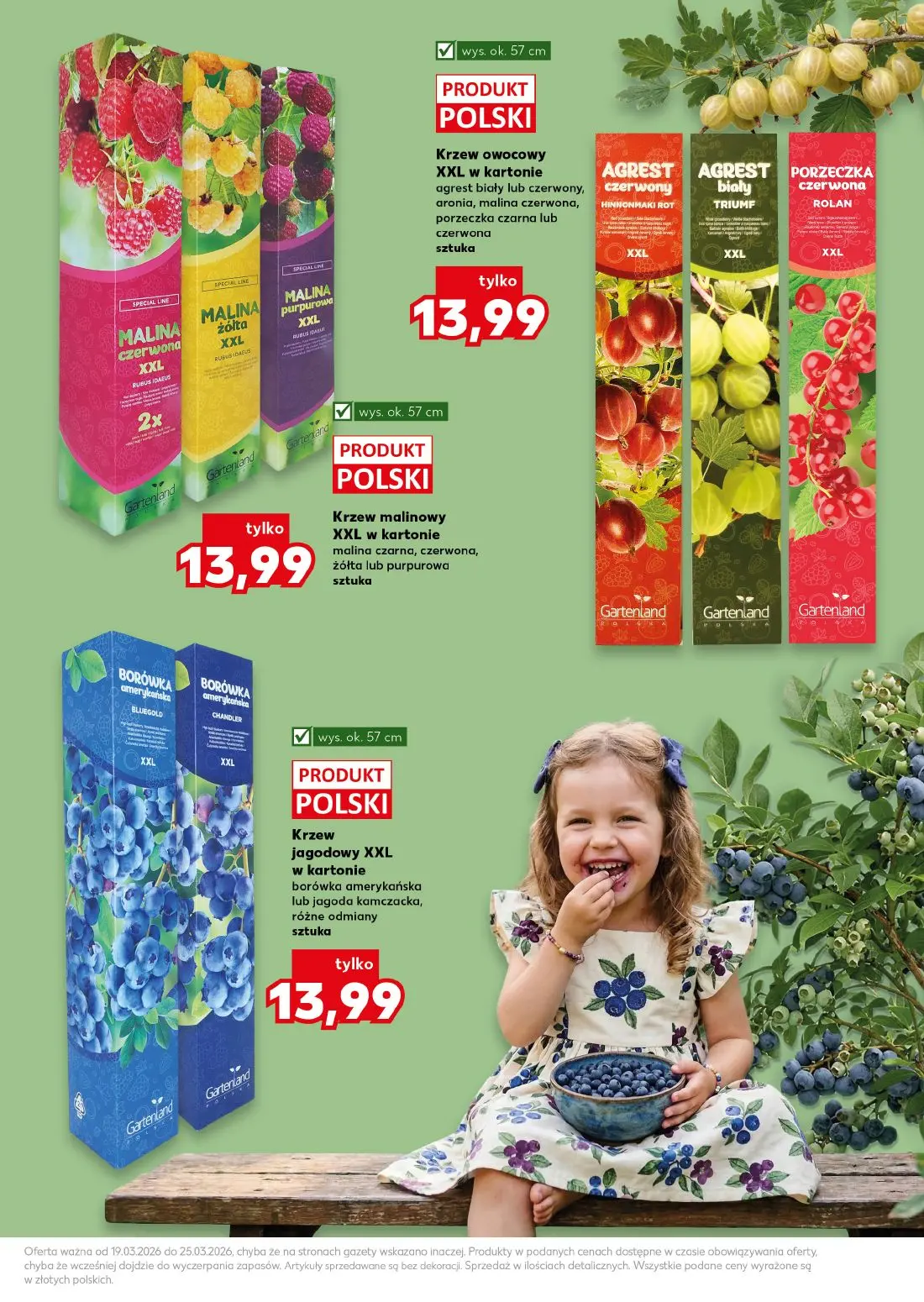 gazetka promocyjna Kaufland Ogród Wiosenne inspiracje - Strona 11