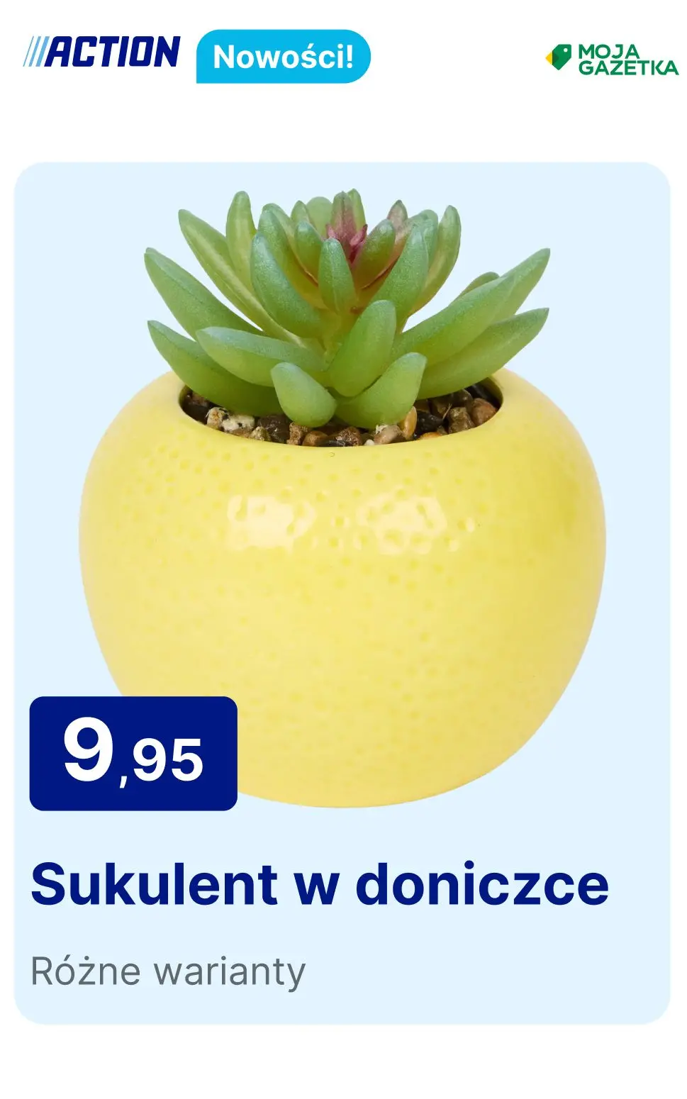 gazetka promocyjna Action Nowości - Strona 21